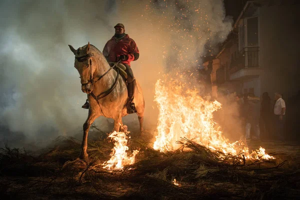 Horses jumping above the fire without fear — Stock Photo, Image