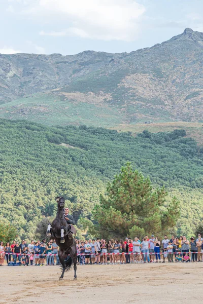 2019年8月 在西班牙的Serranillos Avil 西班牙市举行的骑马马术与舞蹈展览 — 图库照片