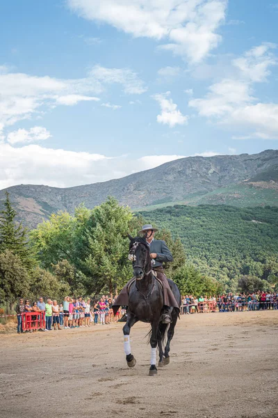 Montar Caballo Exposición Doma Danza Caballos Celebrada Ciudad Serranillos Avila — Foto de Stock