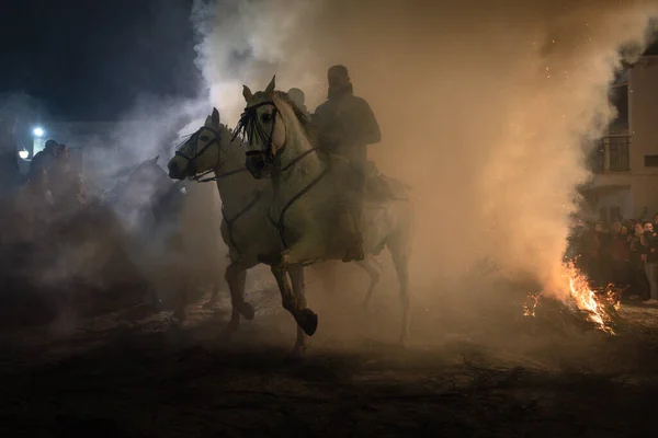 彼の馬に乗って 動物を浄化するために火をジャンプし 1月にスペインのアビラのエル ヘラダン ピナレスで開催された宗教的なイベントで — ストック写真