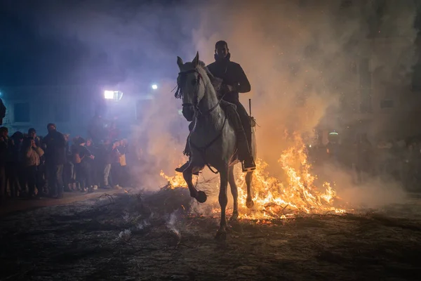 Cavalcando Suo Cavallo Saltando Fuoco Fuoco Purificare Animale Evento Religioso — Foto Stock