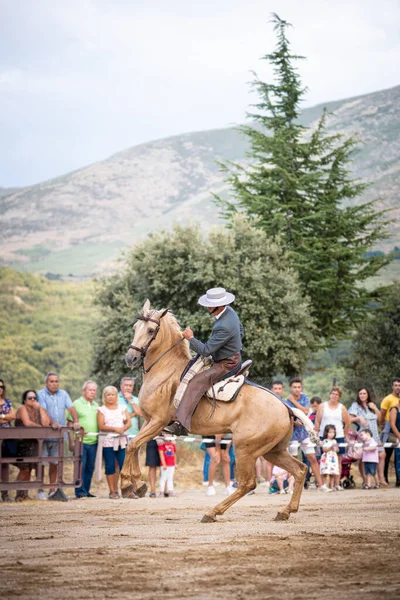 Montar Caballo Exposición Doma Danza Caballos Celebrada Ciudad Serranillos Avila — Foto de Stock