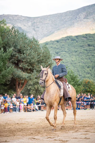 Paardrijden Paarden Dressuur Dans Tentoonstelling Gehouden Stad Serranillos Avila Spanje — Stockfoto