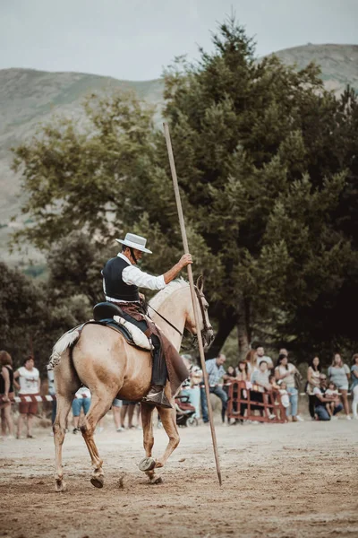 Reiter Auf Seinem Pferd Tanz Und Dressur Mit Ihm Der — Stockfoto