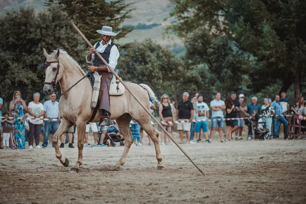 Rijder Zijn Paard Dansend Dressuurend Met Hem Tentoonstelling Gehouden Stad — Stockfoto