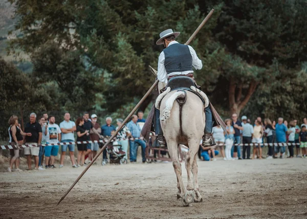 Montar Caballo Exposición Doma Danza Caballos Celebrada Ciudad Serranillos Avila — Foto de Stock