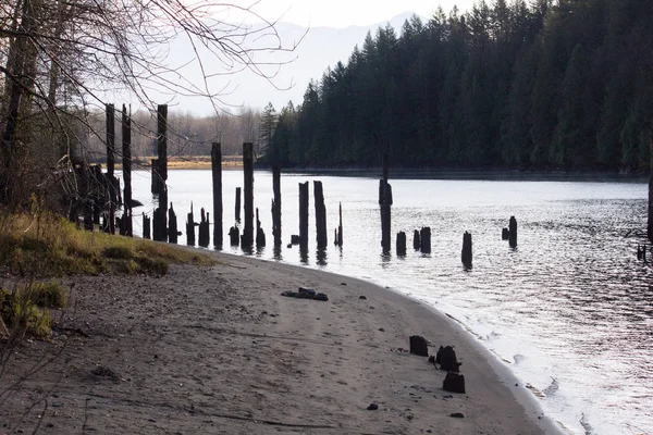 Plage Sable Long Rivière Harrison — Photo