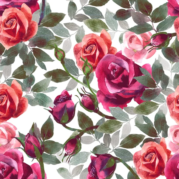 水彩绘画玫瑰花朵图案无缝设计图案 — 图库照片