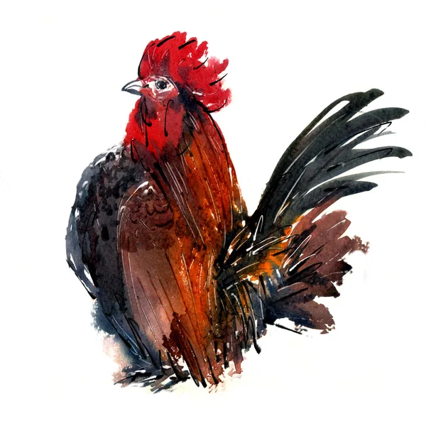 Pintura aquarela e digital .chicken Animal Anual 2560 / 2017 .happy ano novo 2017.White fundo — Fotografia de Stock