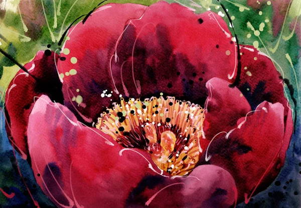 Akwarela malarstwo tulipany pojedyncze czerwony kwiat makro — Zdjęcie stockowe