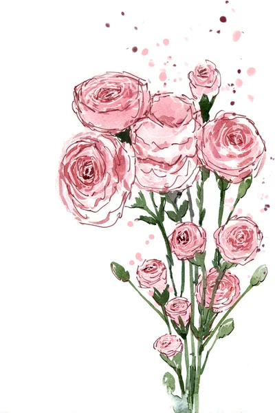 Watercolor painting bouquets Flower carnation pink — Stock Photo, Image