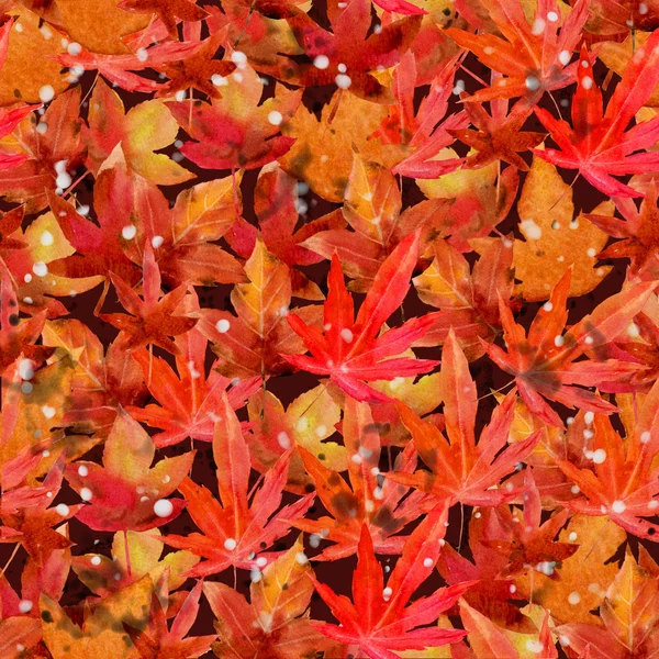 Клен из листьев акварели оранжево-красный — стоковое фото