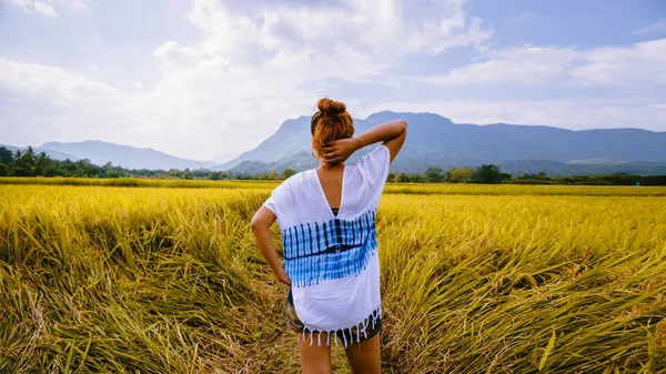 Asiatische Frauen fahren im Urlaub auf Reisfeldern goldgelb über die Berge. glücklich und genießen eine schöne Natur. Reisen auf dem Land, grüne Reisfelder, Reisen nach Thailand. — Stockfoto