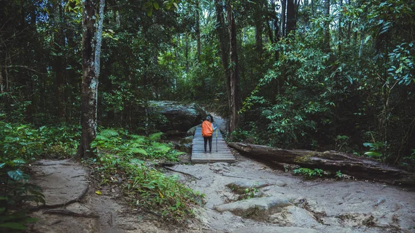 Libre Mujer Viajero Naturaleza Relajación Viaje Caminata Mochila Por Bosque — Foto de Stock