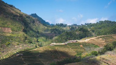 Çiftçi bahçıvanlığı Dağda, tepenin üstünde manzara güzel