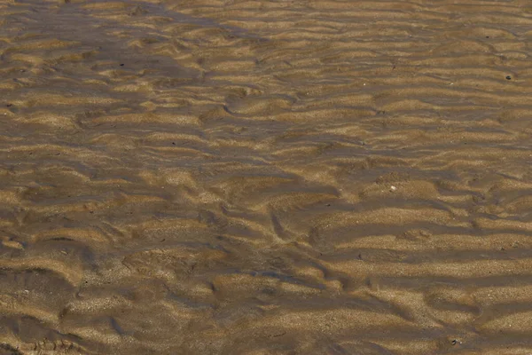 Shimmering sand ripples on tidal flats at the entrance on the new south wales central coast