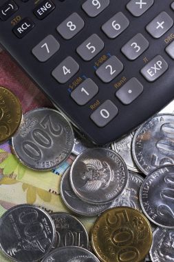 Görünümü top / para harcama ve ödeme hesaplama resimli paralar, banknot ve hesap makinesi ile yat