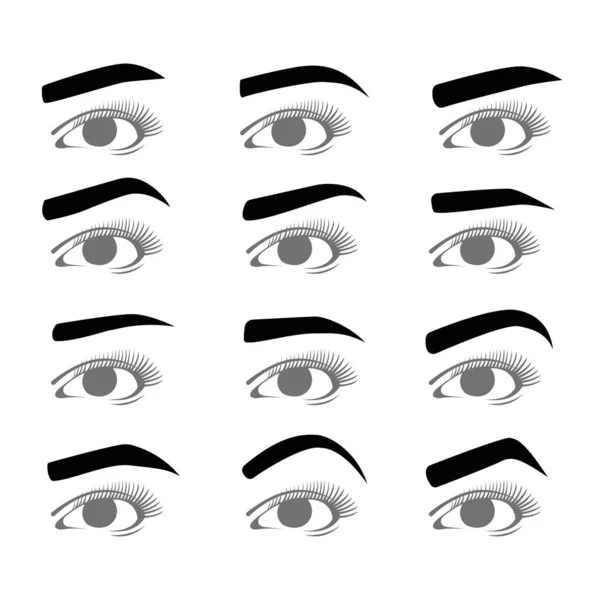 Types Eyebrows Set Illustration Eye Disign — Stock Vector