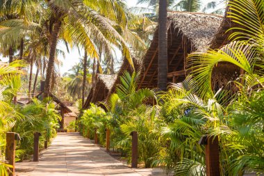 Kumsaldaki kulübeler ve bambu, kil kiremitler ve hindistan cevizi yapraklarından yapılmış kulübeler. Goa, Hindistan 'da tatil yeri konsepti görüntüleri. Seyahat için sahne gezisi ve doğa resimleri