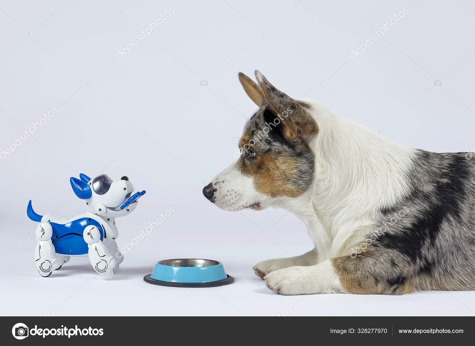 Toy dogs that look real top