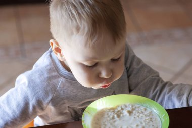 Sarışın, beyaz, tatlı erkek bebek güneşli bir sabahta masadaki yulaf lapasına üflemiş. Çocuklar sağlıklı yemek konsepti. Kapalı alan, kopyalama alanı, seçici odak.