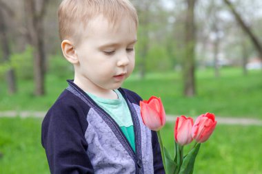 Yeşil çimenlik arka planda lale çiçekleri olan sevimli, mutlu, beyaz bir bebek. Sarı saç, elinde buket, tebrik konsepti. Bahar ya da yaz zamanı, açık hava, kopyalama alanı.