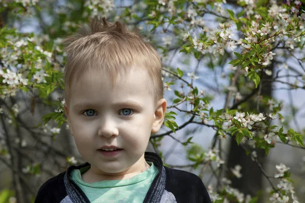 Cute Blond Chłopiec Uśmiecha Się Środku Parku Kwiat Wiśni Emocje — Zdjęcie stockowe