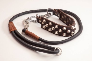 Kahverengi deriden köpek tasması, metal perçinler, siyah ve zencefilli tasma, karabina bağlanmış. Beyaz arkaplanı kapat, boşluğu kopyala. Büyük hayvan için mühimmat.