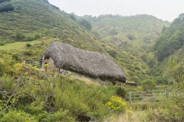 İspanya 'nın Asturias ilindeki Somiedo doğal parkı