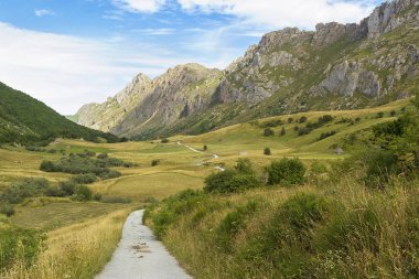 İspanya 'nın Asturias ilindeki Somiedo doğal parkı