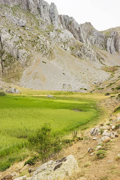 Uma Trilha Caminhada Babia Montanhas Província Leon Espanha — Fotografia de Stock