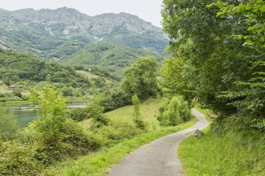 İspanya 'nın Asturias şehrinde ayı yolu denilen bir bisiklet yolu.