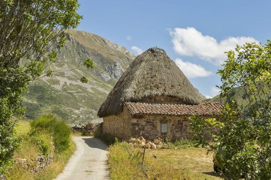 İspanya 'nın Asturias ilindeki Somiedo doğal parkı