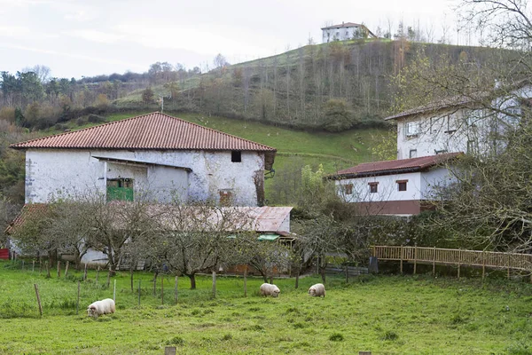 Asteasu Cidade Basca Província Gipuzkoa Espanha — Fotografia de Stock