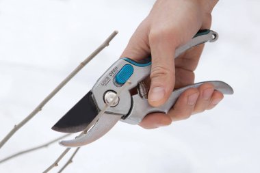 budama ağaçlar ve çalılar