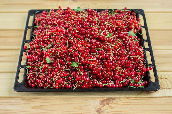 Red currant on brown wooden table — Stock Photo, Image