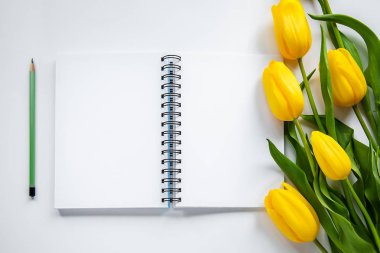 Açık not defteri, kalem ve Sarı laleler