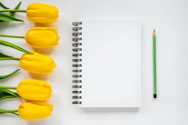 Açık not defteri, kalem ve Sarı laleler