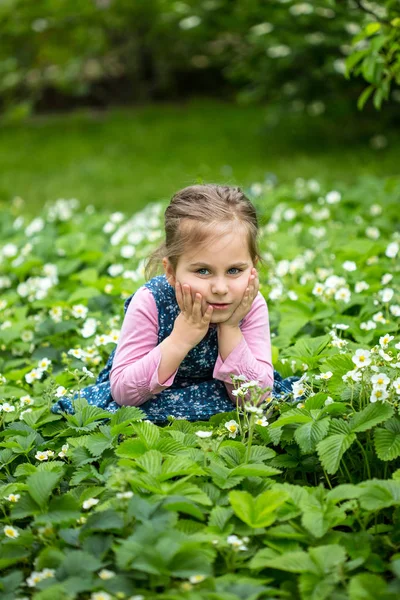 Strawberry flowerchild in a blooming strawberry — Stock Photo, Image