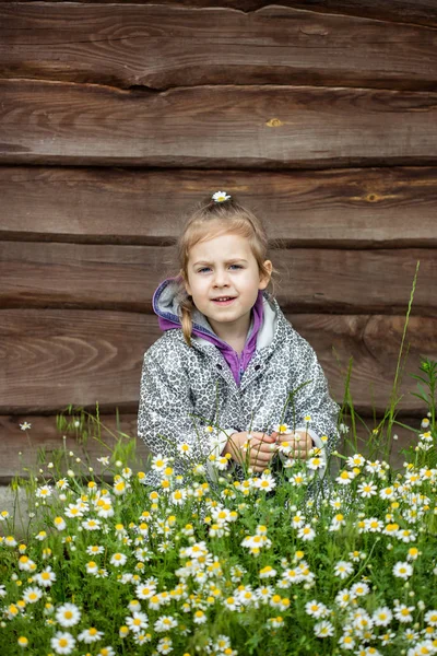 Portrait of cute little girl — Stock Photo, Image