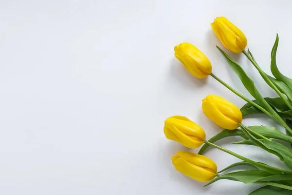 Tulipanes amarillos sobre fondo blanco — Foto de Stock