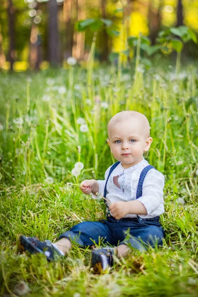 Little brother and the sister sit on a glade with fluffy white dandelions — Stock Photo, Image