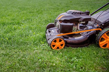 İşçi çimleri biçer, bahçeyle ilgilenir, çim biçme makinesi kullanır..