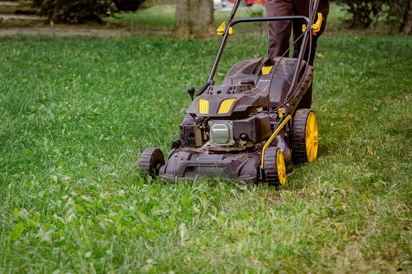 Le travailleur tonde l'herbe sur le site, prend soin du jardin, utilise une tondeuse à essence . — Photo