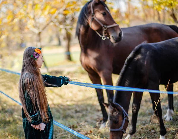 Fille heureuse caressant un cheval, debout près de la clôture dans l'écurie . — Photo