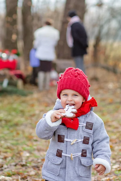 Little boy plays and eats cookies outdoors in a park. Children play outside on a frosty day.