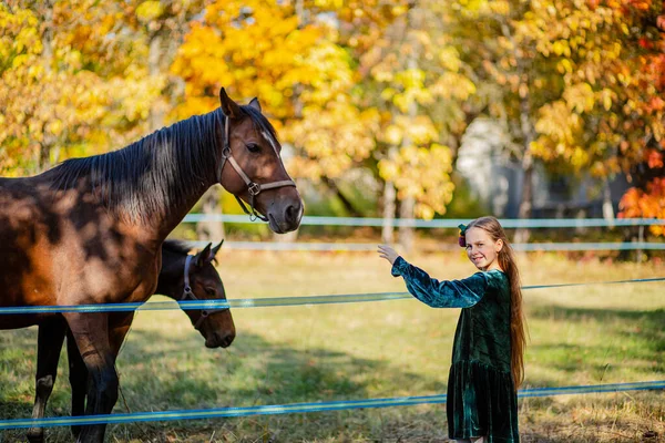 Glückliches Mädchen streichelt ein Pferd, das neben dem Zaun im Stall steht. — Stockfoto