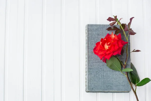 Rosa roja sobre libro abierto sobre fondo blanco de madera, romántico y amor . — Foto de Stock