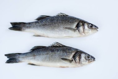 Beyaz bir masa üzerinde baharat ve bitkilerle çiğ deniz levreği. Taze deniz levreği.