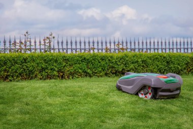 Çimlerin üzerinde robot çim biçme makinesi, yan görüş. Bahçe modern uzak teknoloji.